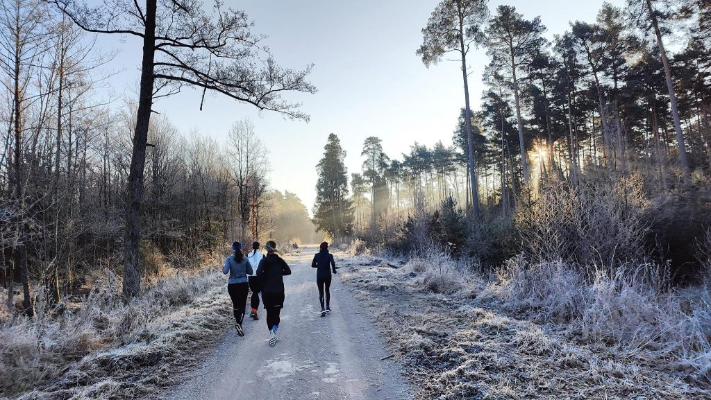 Sonntagslauf im Winter